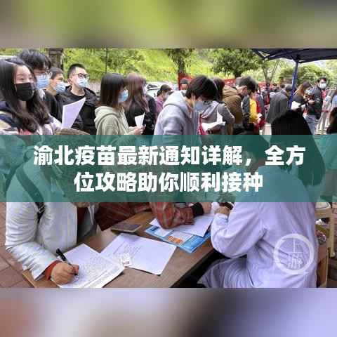 渝北疫苗最新通知详解,全方位攻略助你顺利接种