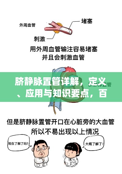 脐静脉置管详解,定义、应用与知识要点,百度带你探索医学新知