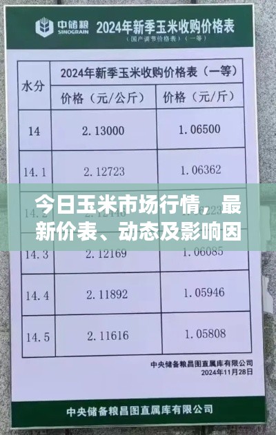 今日玉米市场行情,最新价表、动态及影响因素全解析
