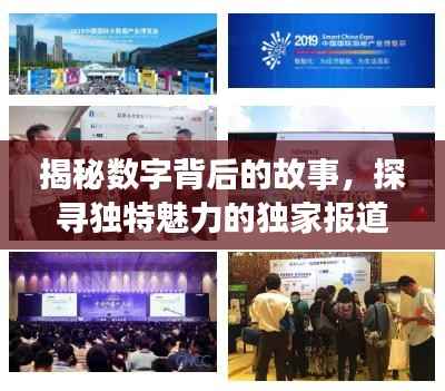 揭秘数字背后的故事，探寻独特魅力的独家报道