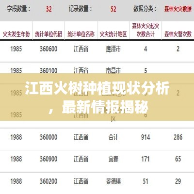 江西火树种植现状分析,最新情报揭秘