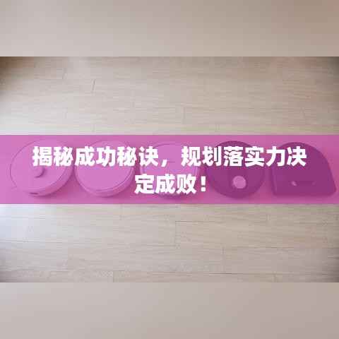 揭秘成功秘诀,规划落实力决定成败!