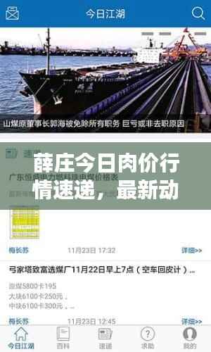 薛庄今日肉价行情速递，最新动态一网打尽！