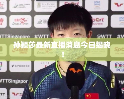 孙颖莎最新直播消息今日揭晓!