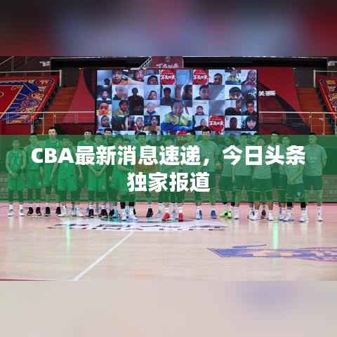 CBA最新消息速递,今日头条独家报道