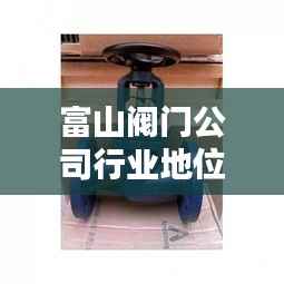 富山阀门公司行业地位与影响力揭秘,排名及影响力不容小觑