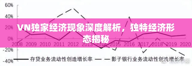 VN独家经济现象深度解析,独特经济形态揭秘