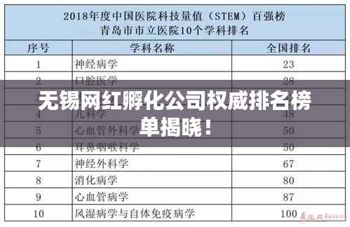 无锡网红孵化公司权威排名榜单揭晓！