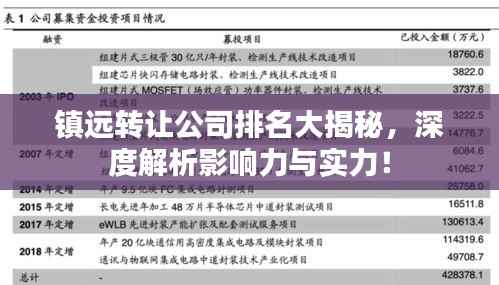 镇远转让公司排名大揭秘，深度解析影响力与实力！