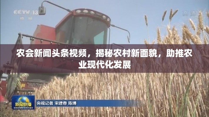 农会新闻头条视频，揭秘农村新面貌，助推农业现代化发展
