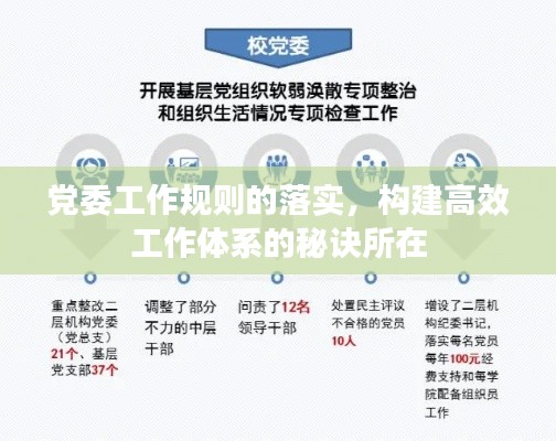 党委工作规则的落实，构建高效工作体系的秘诀所在