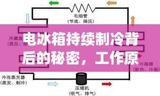 电冰箱持续制冷背后的秘密，工作原理与维护技巧全解析